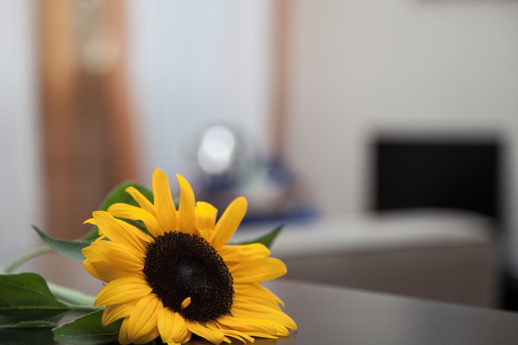 Santa Croce Bed & Breakfast Roma Ngoại thất bức ảnh
